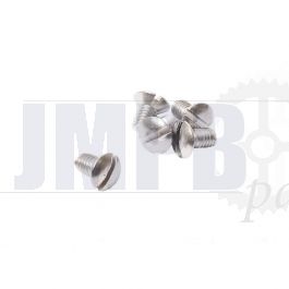Lens bolt M6X10 Stainless Steel Din 964