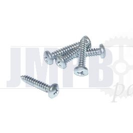 Plate Screw SS 4.2 X 19 Din 7981