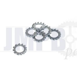 M6 Lock washer SS Din 6798A