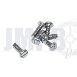Pan Cylinder head screw Slotted SS M5X16 Din 85