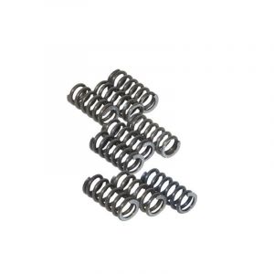 Clutch Pressure Spring Set Sachs 3/4G Race