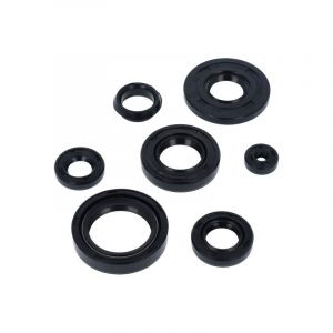 Seal Set Yamaha FS1 New Model