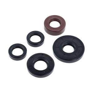 Seal Set Benelli T50