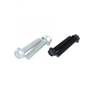 Bolts set Front fork Honda MT