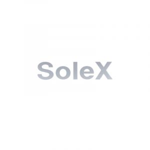 Sticker Solex Silver Straight 62X15MM