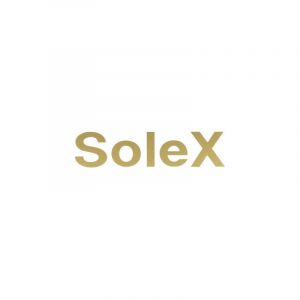 Sticker Solex Gold Straight 62X15MM