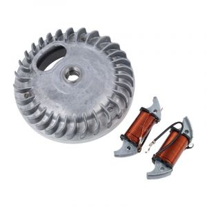 Flywheel Citta/Ciao Points with Coils