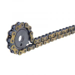 Chain Regina PRO 428 - 130