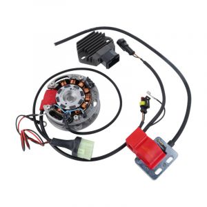 Selettra Inner Rotor Ignition with Light Coil