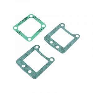 Gasket kit Reed Valve Intake Malossi