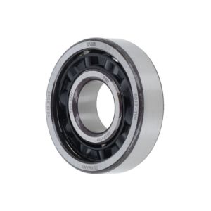 Bearing BO17 FAG Plastics