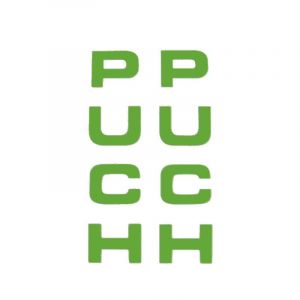 Stickerset Front Fork Puch Green