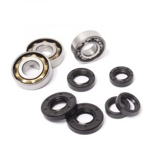 Bearing/Seal set Puch 2VG Foot gear