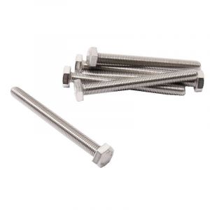 Hex bolt M10-1.5X100 SS Din 933
