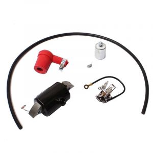 Rebuild Kit Ignition Budget Puch Maxi