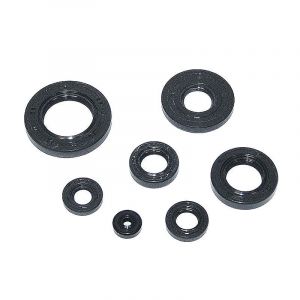 Seal set Yamaha FS1 Rotating intake with Oil pump