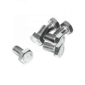 Hex bolt M10X18 SS Din 933