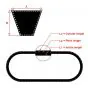 Drive Belt Citta 1012