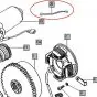 Ground cable Start motor Tomos