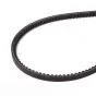 Drive Belt Serrated 937 Vespa Ciao
