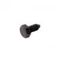 Mounting bolt Footrest bar Yamaha FS1