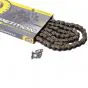 Chain SFR 415 / 100 Links