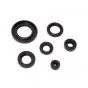Seal set Complete Suzuki TSX