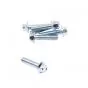 Flange bolt Galvanized M6X25 SW8