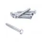Flange bolt Galvanized M6X45 SW8
