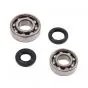 Crankshaft bearing set + Seals Peugeot 103