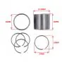 Stanchion Bushing Set Yamaha FS1