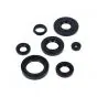 Seal Set Yamaha FS1 New Model
