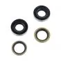 Seal set Sachs 501/50 S