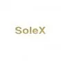 Sticker Solex Gold Straight 62X15MM