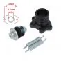 Exhaust Puch Maxi Polini Sport Blank