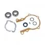 Crankshaft Bearingset Citta / Ciao