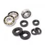 Bearing/Seal set Puch 2VG Foot gear