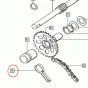 Spring Kickstart sprocket Tomos