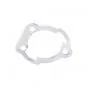 Base Gasket Citta/Ciao Polini