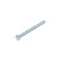 Hex bolt M5X55 Galvanized Din 933