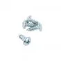 Plate Screw Galvanized 4.8 X 13 Din 7981