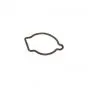 Float Gasket 19-20MM Bing