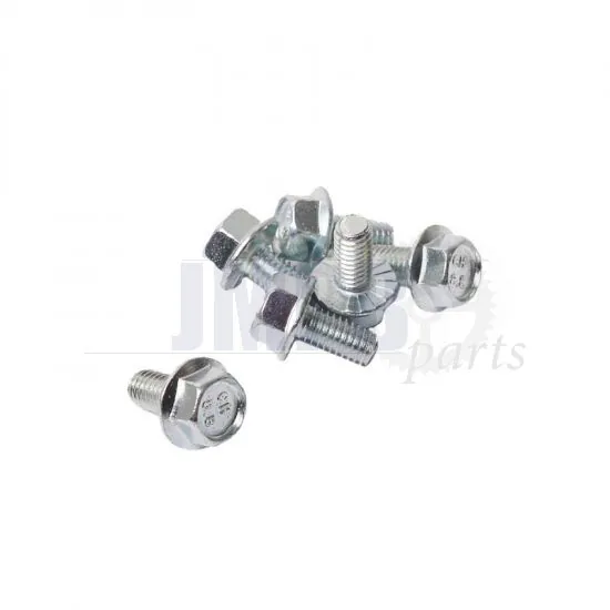Flange bolt Galvanized Toothed M6X12 Din 6921