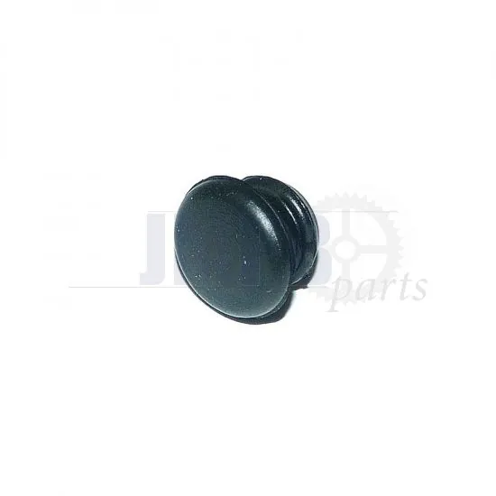 Rubber cap in brake disc FS1