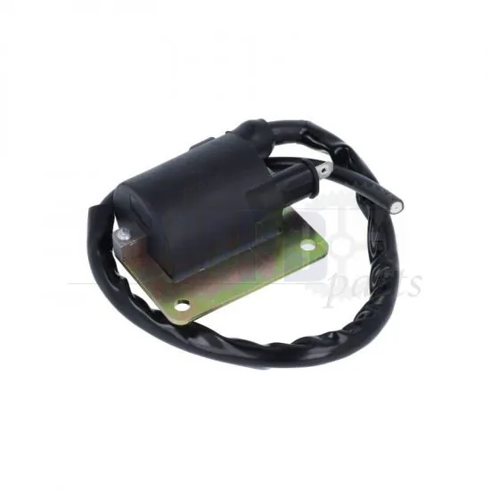 Coil 6 Volt Puch / Vespa Black 