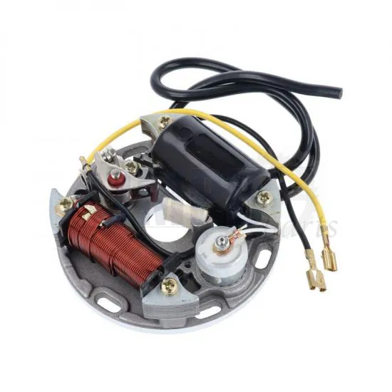 Ignition 6 Volt 17 Watt Model Bosch
