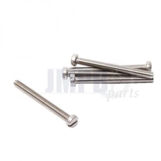 Cylinder bolt M6X55 SS Din 84