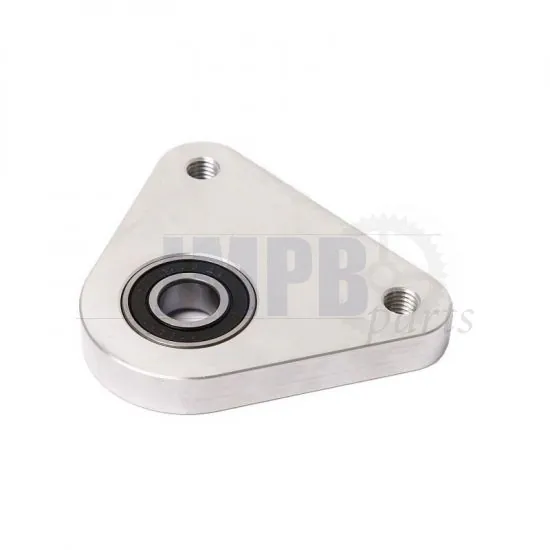 Rear wheel bearing plate RACE Citta / Ciao