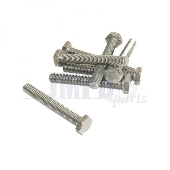 Hex bolt M10X75 SS Din 933