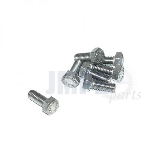Hex bolt M5X12 SS Din 933